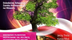 Multimedialne widowisko „Alchemia Światła”
