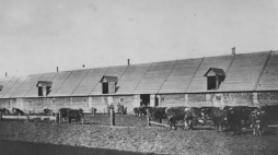 Państwowy Instytut Naukowy Gospodarstwa Wiejskiego w Puławach 1929 r. Źródło: NAC