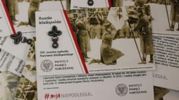 „Rozetka wielkopolska” na setną rocznicę wybuchu Powstania Wielkopolskiego