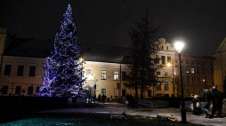 Choinka pod oknem papieskim na skwerze przy ulicy Franciszkańskiej w Krakowie. Fot. PAP/J. Bednarczyk