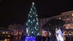 Włączenie iluminacji na choince podarowanej przez Słowaków dla Krakowa. Fot. PAP/J. Bednarczyk 