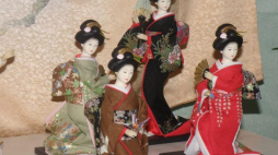 Wystawa "Kultura Japonii" w Ogrodzie Botanicznym w Łodzi