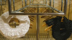 Materiały zdjęciowe do 23. Festiwalu Szekspirowskiego w Gdańsku. Źródło: Festiwalszekspirowski.pl