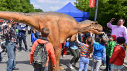 XXIII Piknik Naukowy Polskiego Radia i Centrum Nauki Kopernik na PGE Narodowym. Fot. PAP/M. Obara
