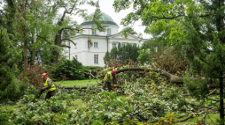 Żołnierze z 2. Inowrocławskiego Pułku Inżynieryjnego usuwają skutki nawałnicy w zespole pałacowo–parkowym w Lubostroniu. 22.08.2017. Fot. PAP/Tytus Żmijewski