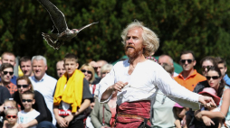 Pokazy sokolników i drapieżnych ptaków w ramach XI Zajazdu Wysokomazowieckiego w Muzeum Rolnictwa im. ks. Krzysztofa Kluka w Ciechanowcu. Fot. PAP/A. Reszko
