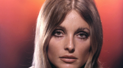 Sharon Tate, 1967 r. Fot. PAP/Photoshot