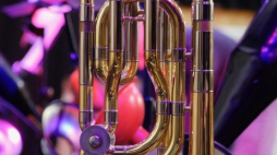 Źródło: www.brassacademy.eu