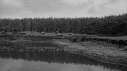 Torfowisko w okolicach Gostynina. Fot. PAP/CAF