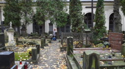 Cmentarz Powązkowski w Warszawie. Fot. PAP/R. Pietruszka