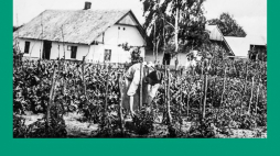 Wystawa „Podlwowska wieś Sokolniki na dawnej fotografii” w Muzeum Etnograficznym we Wrocławiu