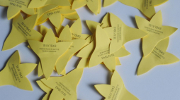 Akcja Żonkile. Fot. PAP/J. Kamiński