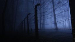 Teren b. niemieckiego nazistowskiego obozu koncentracyjnego i zagłady Auschwitz-Birkenau. Fot. PAP/S. Rozpędzik