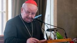 Kardynał Stanisław Dziwisz. Fot. PAP/Ł. Gągulski