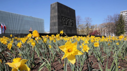 Żonkile przed pomnikiem Bohaterów Getta w Warszawie. 19.04.2020. Fot. PAP/W. Olkuśnik