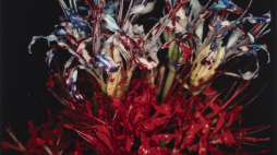 Nobuyoshi Araki