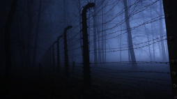 Teren byłego niemieckiego obozu Auschwitz II-Birkenau. Fot. PAP/S. Rozpędzik