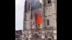 Fx Bellamy, Twitter.com/fxbellamy