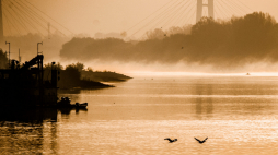 Źródło: Państwowe Muzeum Etnograficzne