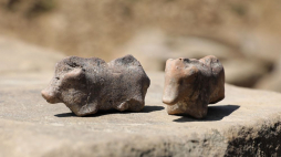 Prezentacja znaleziska archeologicznego w postaci glinianych figurek świń w Maszkowicach. 13.08.2020. Fot. PAP/G. Momot