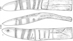 Obiekty znalezione w Rusinowie i Bolkowie na Pomorzu. Fot. "Journal of World Prehistory"