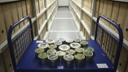 Fot. PAP/P. Supernak