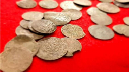 Srebrne monety znalezione na terenie Nadleśnictwa Cierpiszewo. Fot. Nadleśnictwo Cierpiszewo