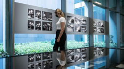 Koronawirus w Polsce: zwiedzająca wystawę fotografii Romana Ingardena w Muzeum Sztuki Współczesnej MOCAK w Krakowie. 12.06.2020. Fot. PAP/Ł. Gągulski