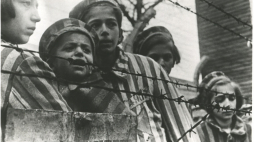 Źródło: Muzeum Auschwitz