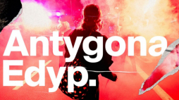 Spektakl „Antygona. Edyp”. Źródło: Teatr Collegium Nobilium