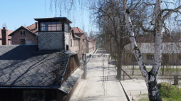 Źródło: Muzeum Auschwitz