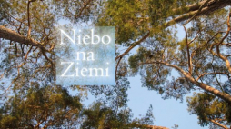 Wystawa „Niebo na Ziemi” w Muzeum Ikon w Supraślu