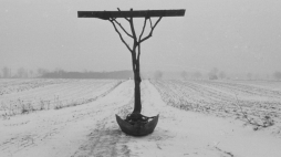Thanatos polski sfotografowany w miejscu powstania, 1984, własność Muzeum Narodowego we Wrocławiu, fot. K.M. Bednarski. Źródło: MOCAK