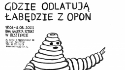 Wystawa „Gdzie odlatują łabędzie z opon”. Źródło: BWA Galeria Sztuki w Olsztynie