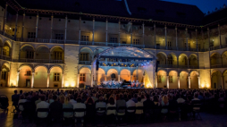 Źródło: www.wawel.krakow.pl
