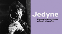 Źródło: DSH