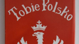 k pamięci „Tobie Polsko” na mogiłach powstańców śląskich. Źródło: IPN