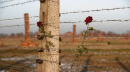 Teren b. niemieckiego obozu koncentracyjnego Auschwitz-Birkenau. Fot. PAP/Ł. Gągulski