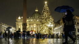 Choinka na pl. Świętego Piotra w Watykanie. 10.12.2021. Fot. PAP/EPA