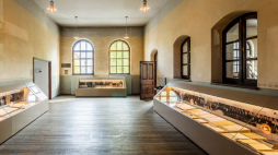 Źródło: www.ajcf.pl/muzeum