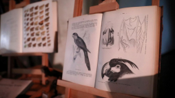 Warszawa, 11.05.2022. Uroczystość przekazania przez Haus der Natur w Salzburgu kolekcji okazów zoologicznych i książek do zbiorów Muzeum i Instytutu Zoologii PAN, w Arkadach Kubickiego Zamku Królewskiego w Warszawie. Fot. PAP/T. Gzell