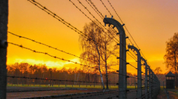 Teren b. niemieckiego obozu Auschwitz-Birkenau. Fot. PAP/A. Grygiel