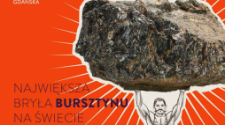 Źródło: Muzeum Bursztynu w Gdańsku