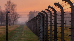 Teren byłego niemieckiego obozu koncentracyjnego Auschwitz Birkenau. Fot. PAP/ A. Grygiel
