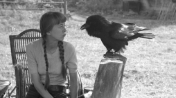 Simona Kossak w leśniczówce Dziedzinka w Puszczy Białowieskiej z krukiem Koraskiem. Fot. PAP/M. Musiał