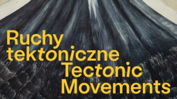 Wystawa „Ruchy tektoniczne. O artystycznych symptomach transformacji”. Źródło: Muzeum Sztuki w Łodzi
