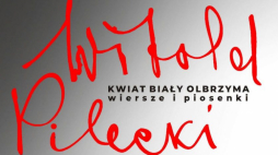 Źródło: PFN