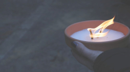 Fot. PAP/M. Kliński 