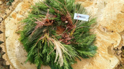 Źródło: Muzeum Pamięci Mieszkańców Ziemi Oświęcimskiej