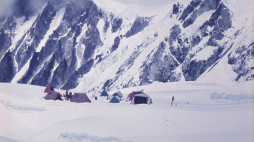 Źródło: www.muzeumslaskie.pl